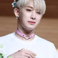 Aliexpress NEW Pastel Goth Heart Choker