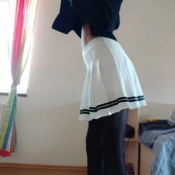 Aliexpress NEW High Waisted Pleated Varsity Skirt (4 Colours)