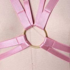Aliexpress NEW 'Evalynn' O-Ring Stretchy Cage Bra Harness 9 Colours