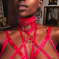 Aliexpress CERBERUS Cruelty Free Pleather Choker (15 Colours) NEW